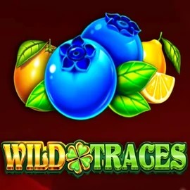 Wild Traces logo – Slots by Amusnet Interactive at Bruce Bet Casino